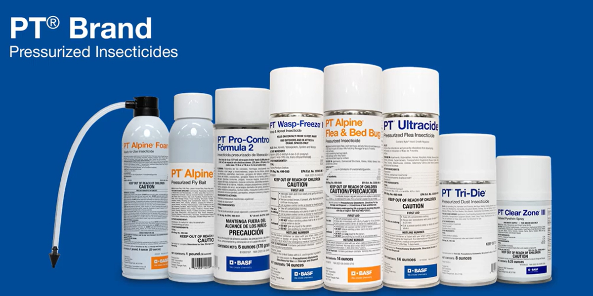 Elevate the Routine with PT Specialty Brands from BASF