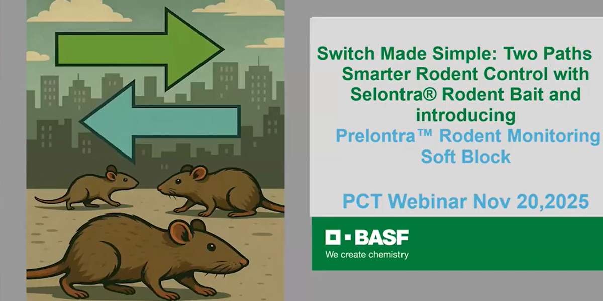 Switch Made Simple: Two Paths to Smarter Rodent Control