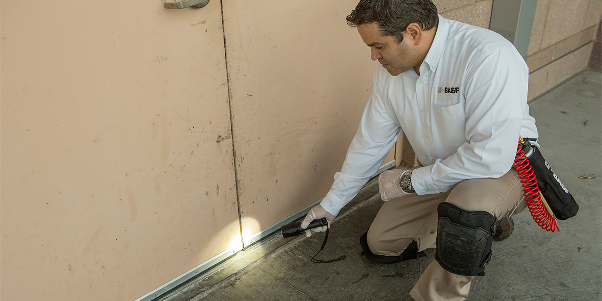PT® Clear Zone® III Metered Pyrethin Spray