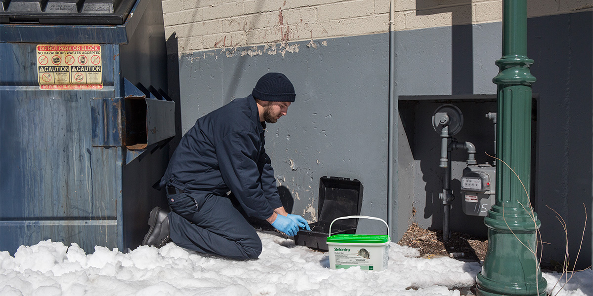 Rodenticide