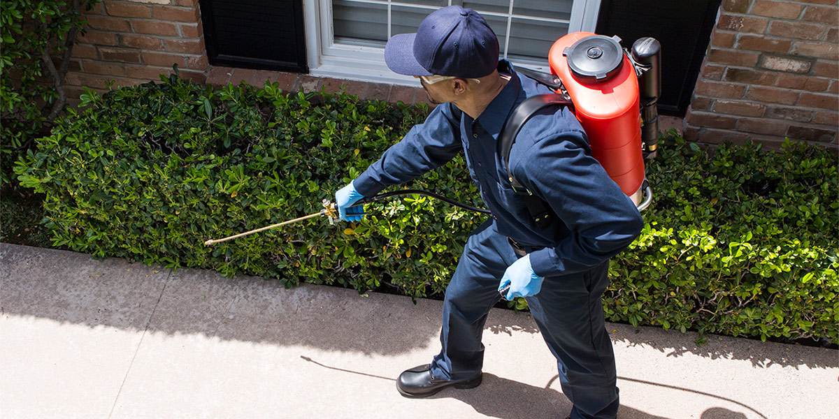 Market Category Page - General Pest Control