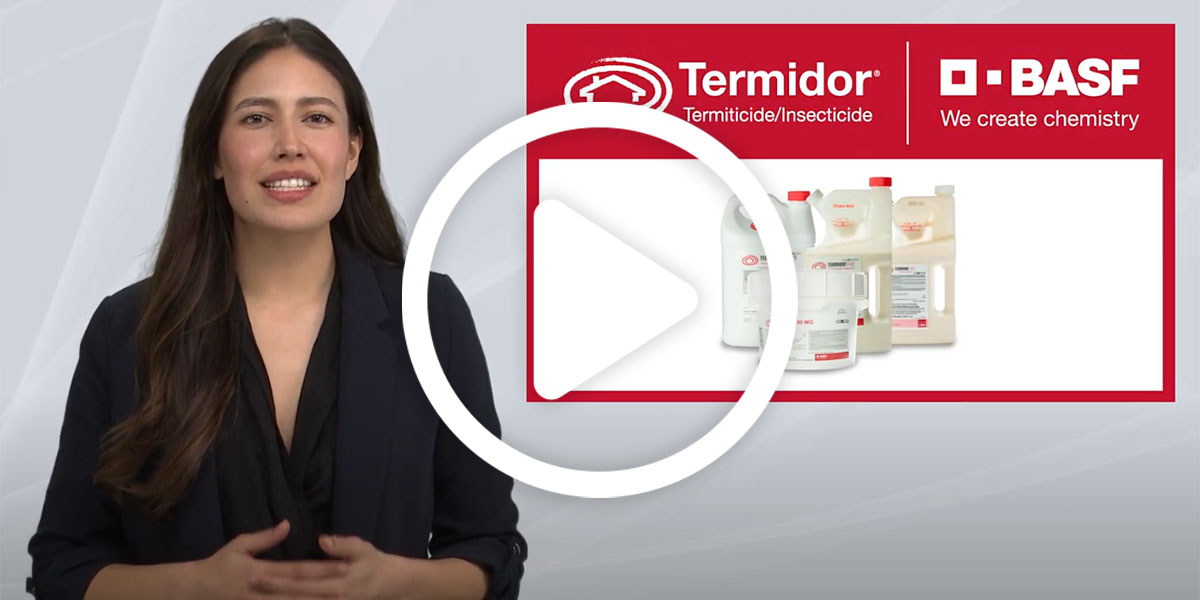 Termite solutions that help you work smarter, not harder