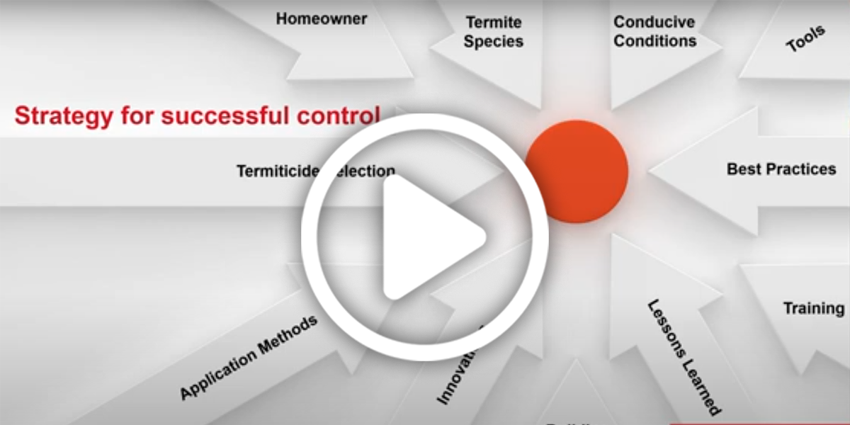 Entomology 101 for Pest Professionals - It's a bug's world!