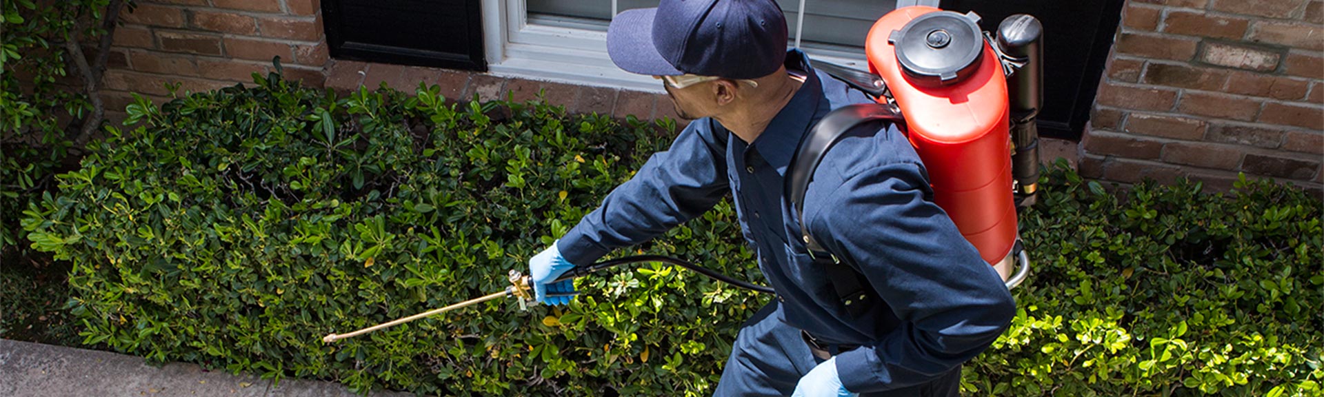 General Pest Control