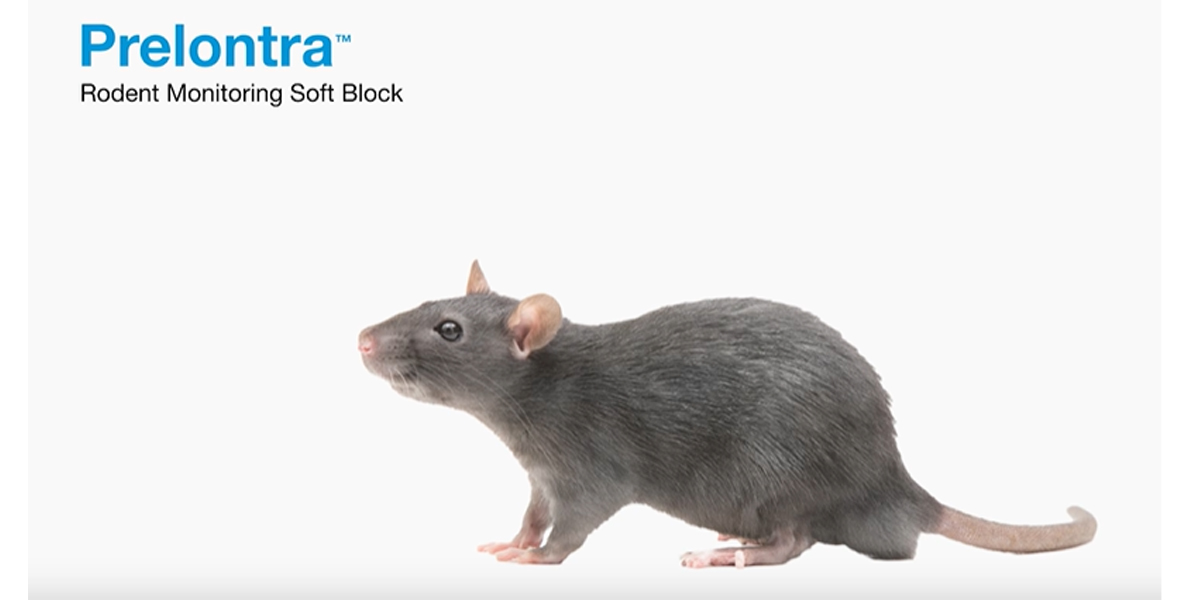 Learn more about Prelontra