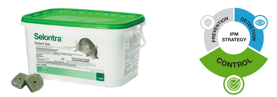 Selontra-Learn-More-Today